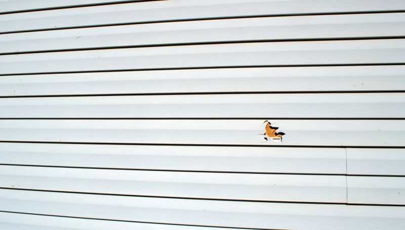 Sealing and Patching Siding